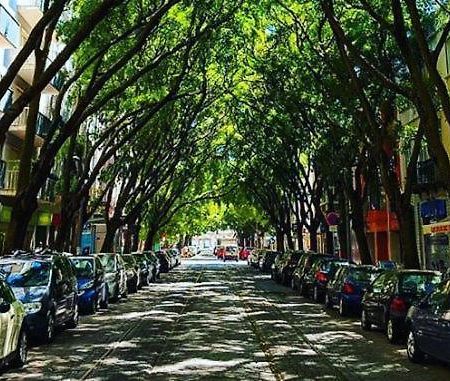 Campo De Ourique Rooms Lisbon Bagian luar foto