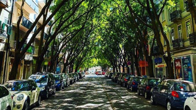 Campo De Ourique Rooms Lisbon Bagian luar foto